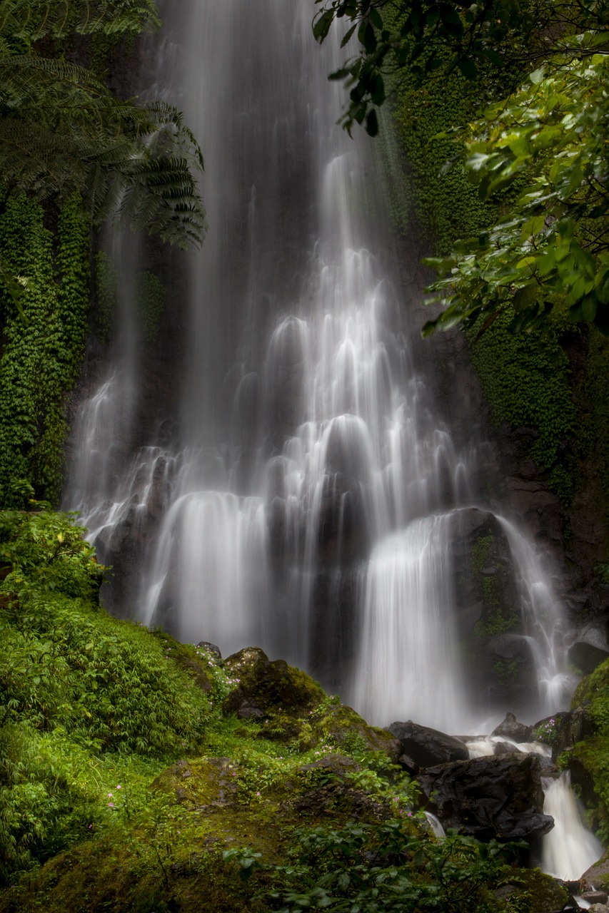 waterfall, water, tree-5229807.jpg